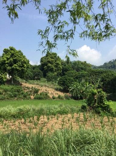 Bán 3000 và 1700 m2 đất thổ cư tại xóm Mòng, thị trấn Lương Sơn, Hòa Bình, giá 20 nghìn/m2