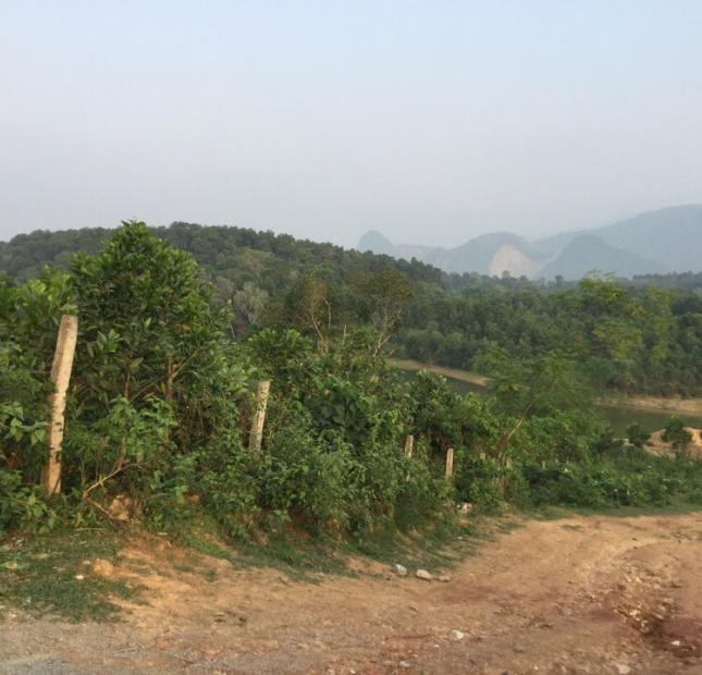 Bán 1,5 ha tại Yên Bài, Ba Vì, Hà Nội, giá 4,5 tỷ