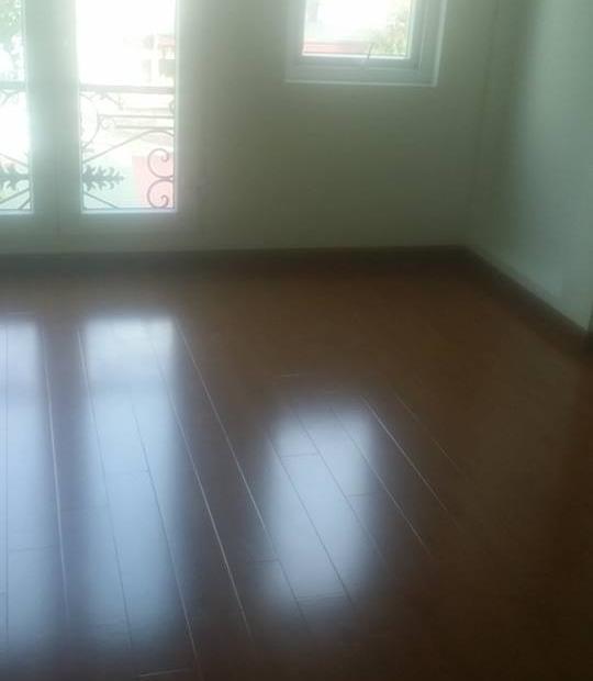 Cần bán gấp nhà trong ngõ 19 Trần Quang Diệu, diện tích 47m2, nhà 5 tầng, mặt tiền 4,6m