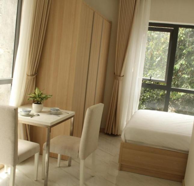 Cho thuê căn hộ dịch vụ 1 phòng ngủ, nội thất cao cấp tại đường Thạch Thị Thanh, quận 1
