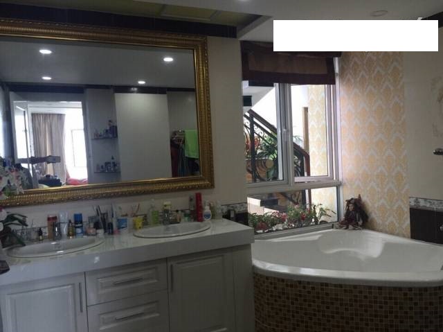 Cần bán căn hộ Penthouse Giai Việt - Tạ Quang Bửu - Quận 8