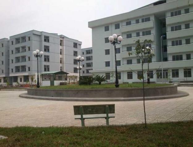 Cần bán nhanh căn hộ chung cư Ba Son Gò Vấp, 2PN giá 980 triệu