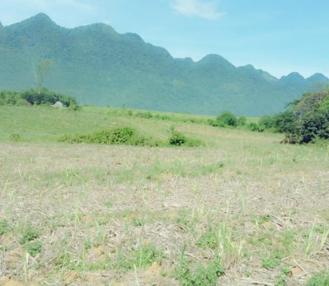 Bán đất đã có dự án trại bò, diện tích 20 ha, vị trí đẹp đất bằng phẳng