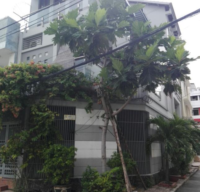Bán nhà Tân Quy Đông – An Phú Hưng, DT: 6x15m