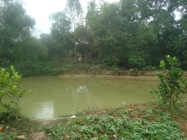 Bán vườn cây 4ha QL 20, xã Hà Lâm, Huyện Đạ Huoai, Lâm Đồng