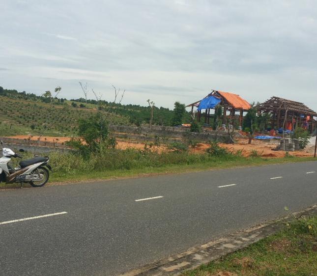 Cần bán 25 hecta đất cây lâu năm trang trại giá rẻ tại Bình Thuận