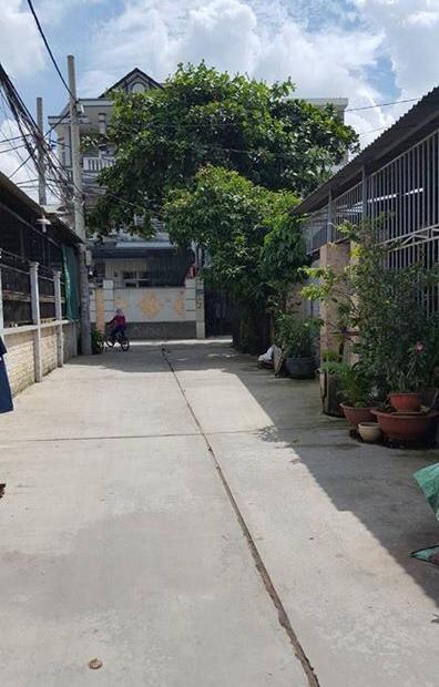 Cần bán gấp nhà hẻm 557 Hương Lộ 3, Bình Hưng Hoà, Bình Tân