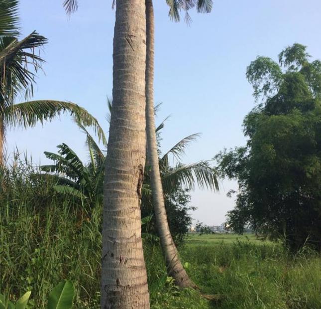 Bán đất đường Lý Thường Kiệt, Hội An, Quảng Nam. Diện tích 1500m2, giá 6.5 triệu/m²