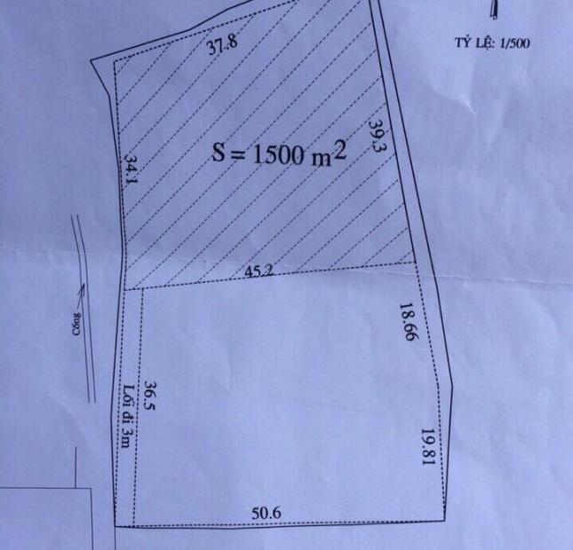 Bán đất đường Lý Thường Kiệt, Hội An, Quảng Nam. Diện tích 1500m2, giá 6.5 triệu/m²