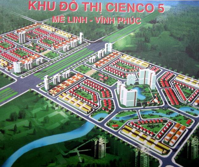 Bán đất nền KĐT Cienco5 Mê Linh, giá rẻ nhất Hà Nội