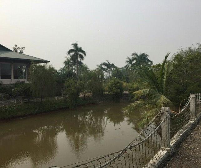 Bán trang trại sinh thái thuộc xã Kim Lan - Huyện Gia Lâm - Hà Nội. DT 30.000m2(3ha)