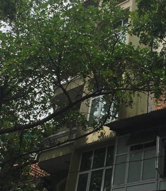Gia đình bán nhà MP Đường Thành diện tích 91m2, 5 tầng, mặt tiền 5m, hướng Đông Bắc, Hoàn Kiếm