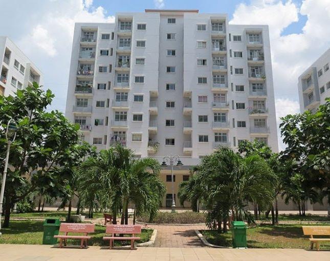 Căn hộ sân vườn Q12 chung cư Phú An Center gần TT hành chính quận mua nhà đón tết. LH 0902587866