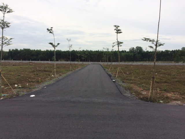Cần bán đất ngay khu công nghiệp Nhơn Trạch, giá 1.5tr/m2 đường nhựa, trồng cây xanh