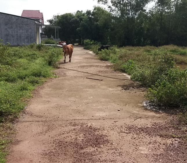 Bán các lô đất ở Thủy Xuân, Lê Ngô Cát, TP Huế 275tr – 500tr