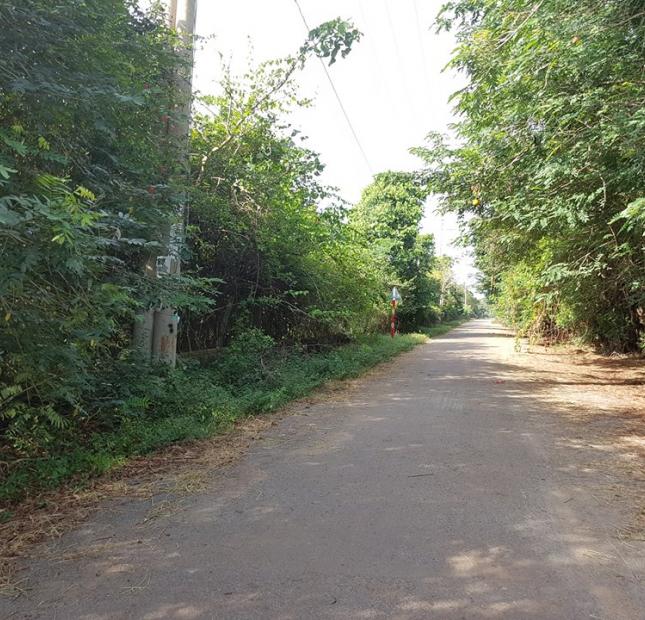 Bán 4.500m2 đất vườn mặt tiền xã Long Phước, Tp Bà Rịa, giá 1,25 tỷ