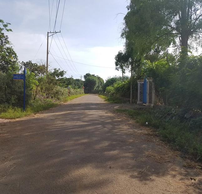 Bán 4.500m2 đất vườn mặt tiền xã Long Phước, Tp Bà Rịa, giá 1,25 tỷ