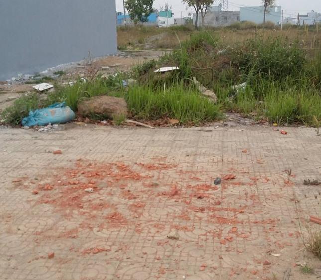 Bán gấp đất trước tết đất biệt thự đường Nguyễn Lữ, dự án Nam Việt Á gđ 1, giá rẻ