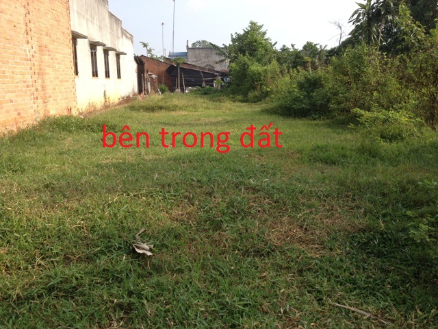261m2 đất thổ cư mặt tiền đường số 684 xã Thái Mỹ, Củ Chi giá 290 triệu