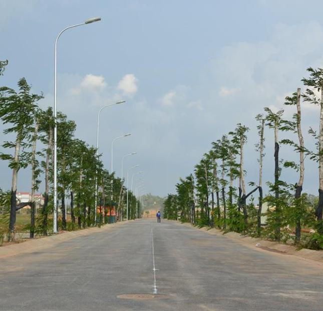 Cần bán lô biệt thự song lập 284m2 hướng Đông Nam tại KĐT Nam Vĩnh Yên