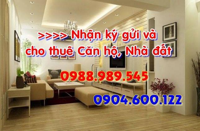 Cho thuê căn hộ chung cư tại Keangnam 