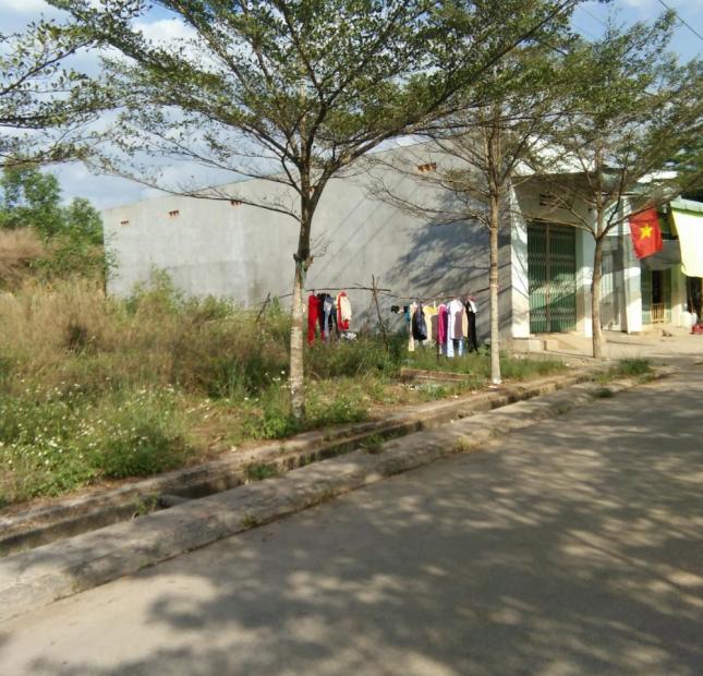 Bán gấp lô đất mặt tiền đường QL 51, sát chợ Tân Mai, TP Biên Hòa