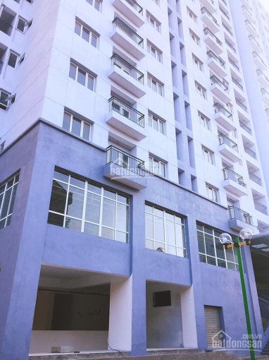 Chính chủ bán lại căn 65m2 CT3 Hoàng Cầu view hồ Hoàng Cầu giá 31,5tr/m2