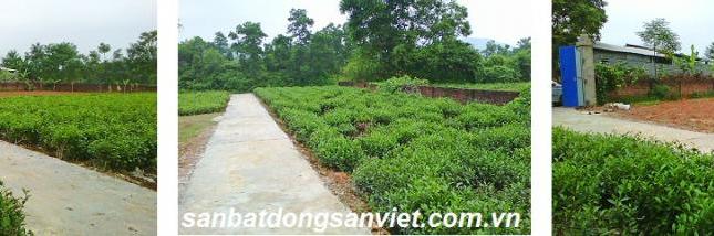 Bán 2040m2 đất thổ cư và đất nông nghiệp xã Phúc Thuận, Phổ Yên, Thái Nguyên, 1,1 tỷ, 0941232768