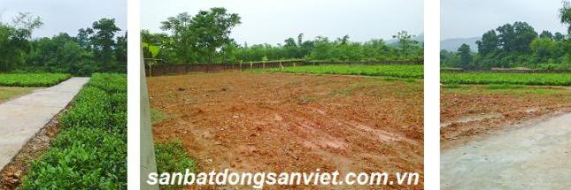 Bán 2040m2 đất thổ cư và đất nông nghiệp xã Phúc Thuận, Phổ Yên, Thái Nguyên, 1,1 tỷ, 0941232768