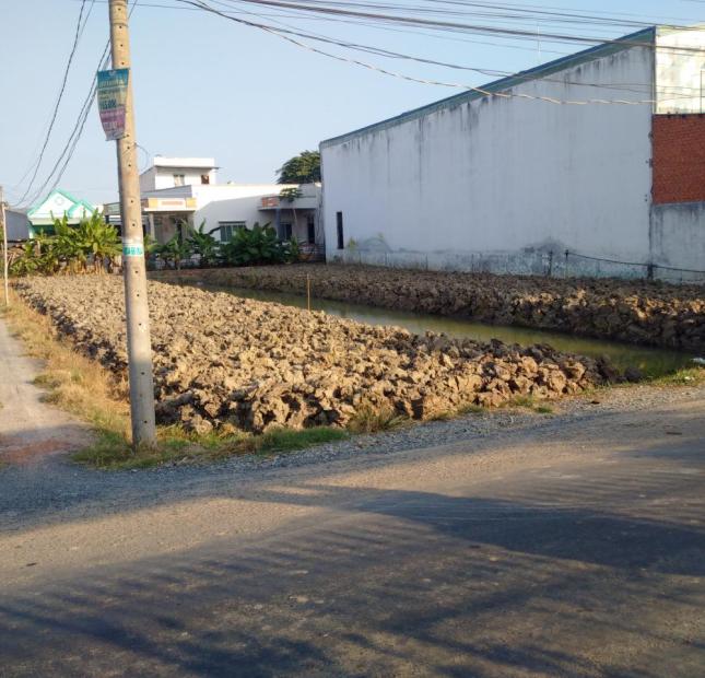 Bán đất Bình Chánh, mặt tiền đường trải nhựa Hóc Hữu, giá 800 nghìn/m2