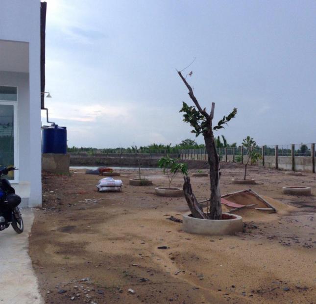 Bán đất mặt tiền đường Rừng Sác xã Bình Khánh, Cần Giờ. DT 3,303m2, giá 3.5 triệu/m2
