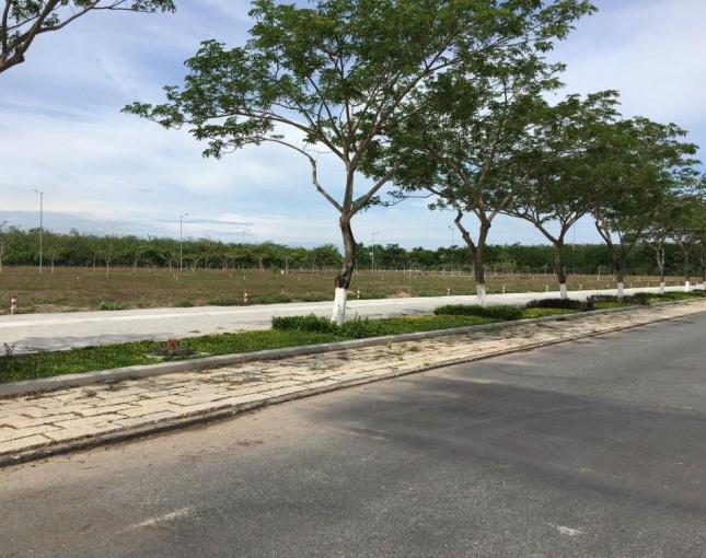 Bán đất đối diện khu công nghiệp Giang Điền, ngay mặt tiền 60m, liên hệ chủ đầu tư: 0908.434.814