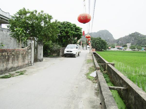 Bán đất thôn Chi Lai, xã Trường Thành, An Lão (khu di tích Núi Voi)