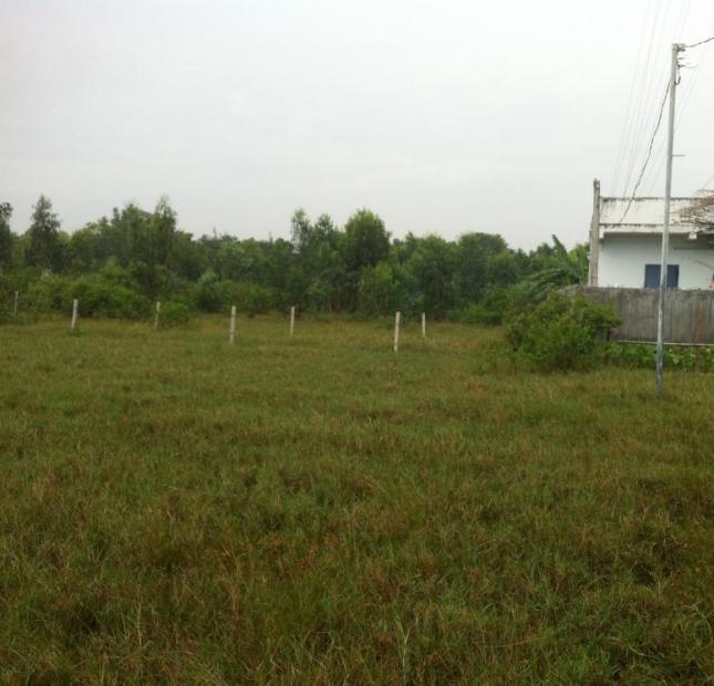 Bán đất nông nghiệp 99m2 hẻm Chi Lăng, P.12, gần Metro giá 200tr