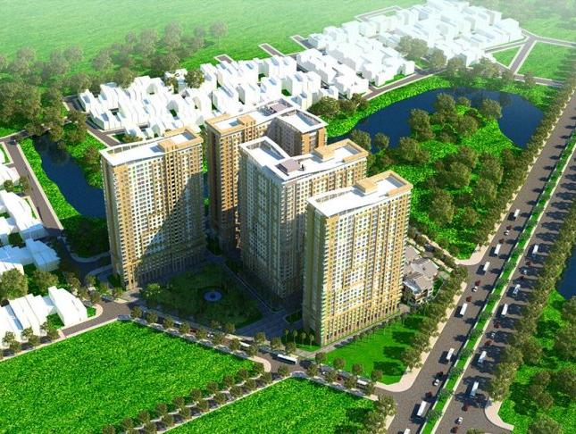 Căn hô Diamond Riverside đẹp giá rẻ chất lượng tốt