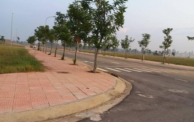 Bán lô đất 100m2, giá chỉ từ 230tr, tại Khu đô thị Nam Vĩnh Yên