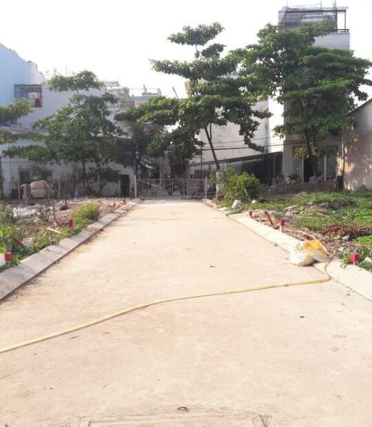 Bán đất phân lô đường 6m khu dân cư Phường 5, Dương Quảng Hàm, Gò Vấp