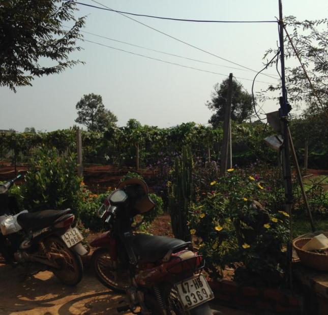 Bán trang trại cực đẹp phường Thành Nhất, TP. Buôn Ma Thuột, Đắk Lắk