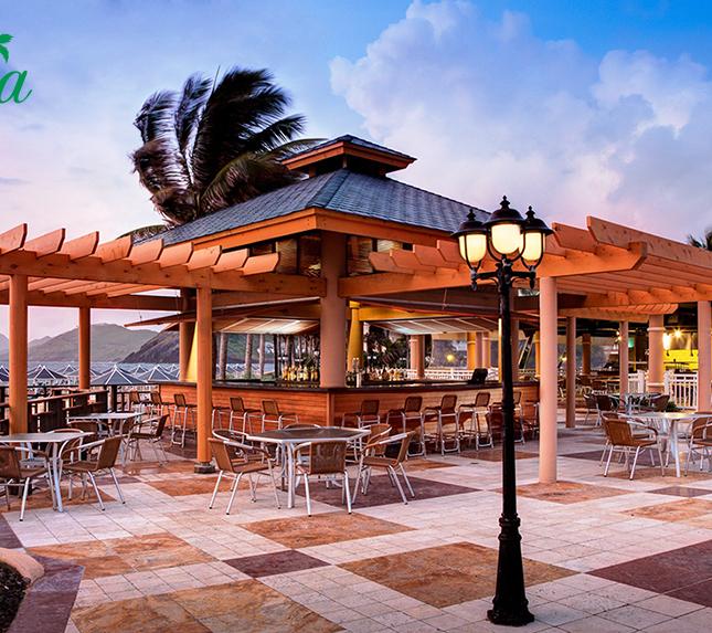 Căn hộ khách sạn Aloha Beach, cam kết lợi nhuận 10%/năm, 800 triệu/căn