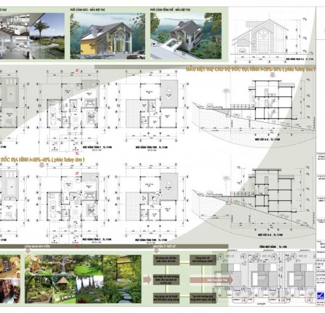 Bán 50 lô đất đẹp dự án biệt thự đồi thủy sản Quảng Ninh giá chuẩn của chủ đầu tư