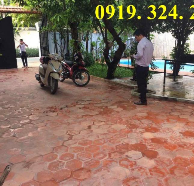 Cho thuê villa sân vườn đẹp Thảo Điền, giá 80 triệu/th