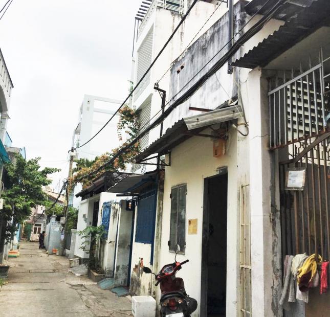 Bán dãy nhà trọ hẻm đa thiện đường 17, F Tân Thuận Tây, Quận 7 