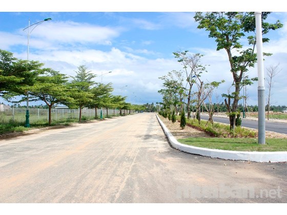đất nền biệt thự siêu sang hướng 2 mặt sông chỉ có duy nhất ở Đà Nẵng