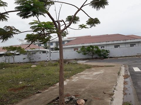 Bán đất tại Xã Vạn Lương, Vạn Ninh, Khánh Hòa, diện tích 229,7m2