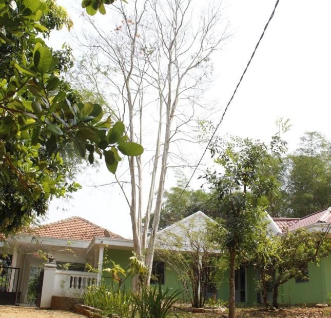 Bán biệt thự, trang trại, nghỉ dưỡng tại Đạ Huoai, gần khu du lịch Madagui