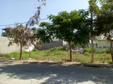 Cần bán đất nền Làng Đại Học gần đường Nguyễn Hữu Thọ, Nhà Bè. Giá tốt, LH: 0908161393