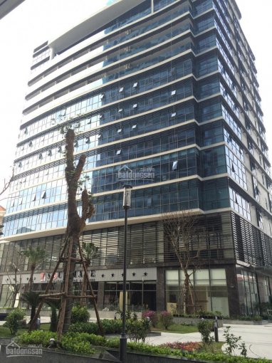 Cho thuê VP tòa nhà Trường Thịnh Building, Phùng Chí Kiên, Cầu Giấy 150m2, 200m2, 500m2. 0948175561