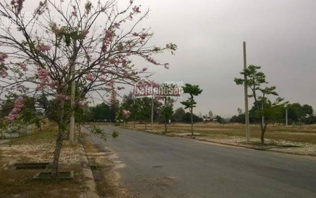 Nhận giữ chỗ khu đô thị Việt- Nhật Sakura. Chiết khấu khủng lên tới 8%