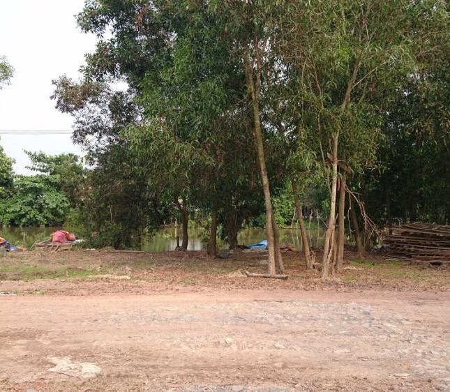 Cho thuê đất nông nghiệp ở Kênh Xáng, gần cầu An Hạ, xã Tân Thới Nhì, Hóc Môn, Tp.HCM