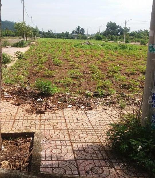 Bán đất nền dự án khu đấu giá TĐC đường Nguyễn Cơ Thạch, Buôn Ma Thuột, Đắk Lắk, DT 100m2, 330tr
